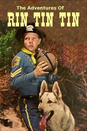 The Adventures of Rin Tin Tin