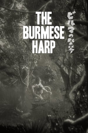 Burma Harpı