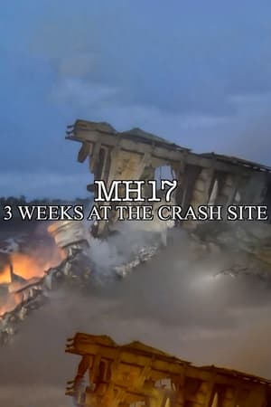 MH17