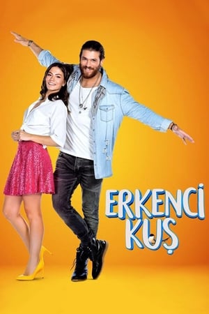 Erkenci Kuş