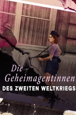 Female Spies: Courage and Espionage in WWII