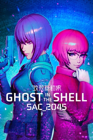 Ghost in the Shell: SAC_2045