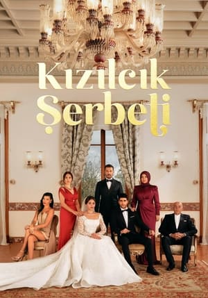 Kızılcık Şerbeti